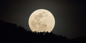 Gus Romano - Full Moon